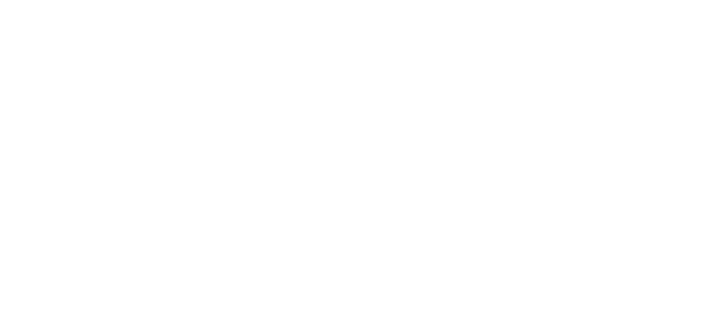 Homesteaders Life Company